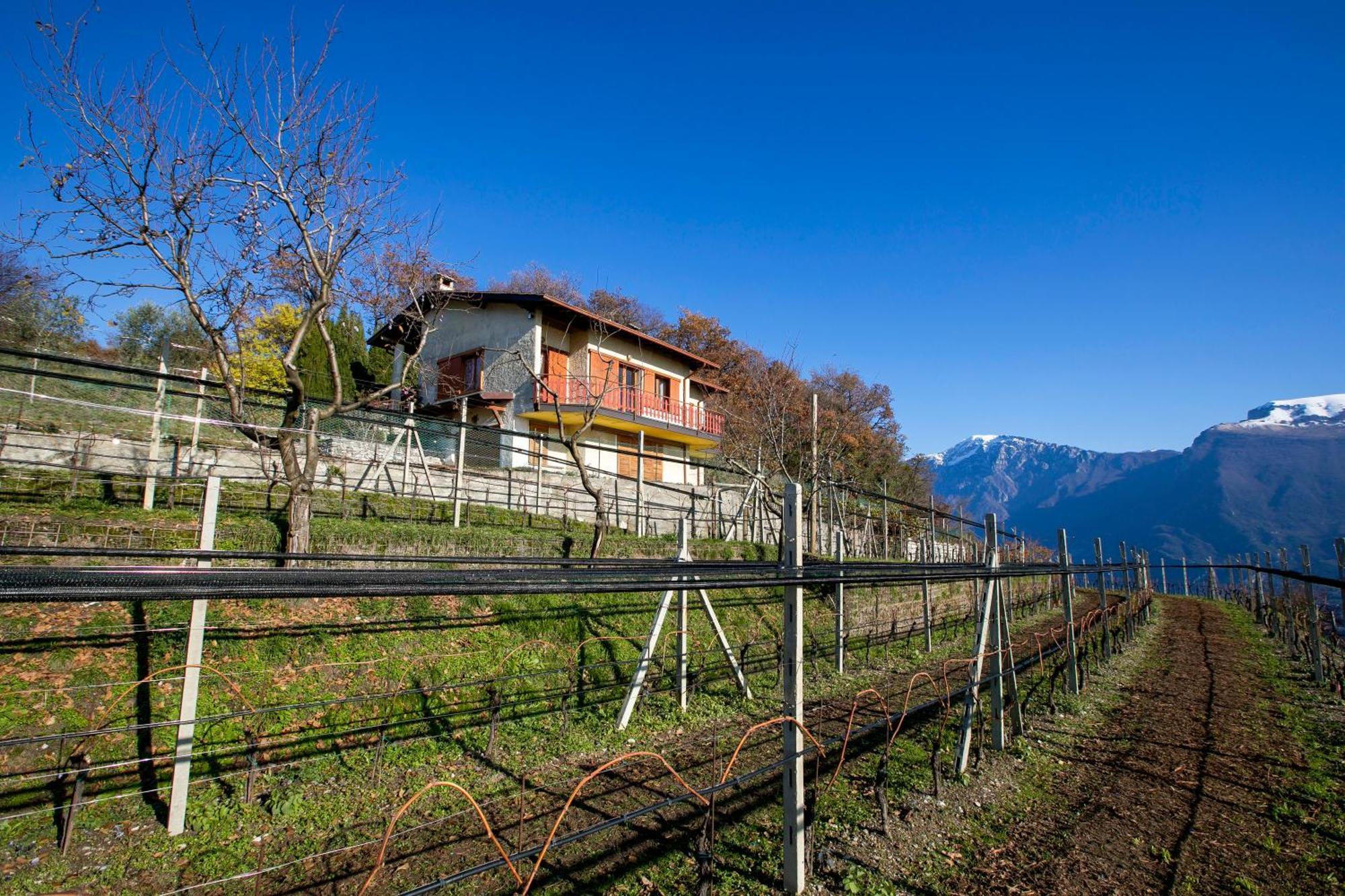Balcone Panoramico Sul Garda - Happy Rentals Tremosine Exterior photo